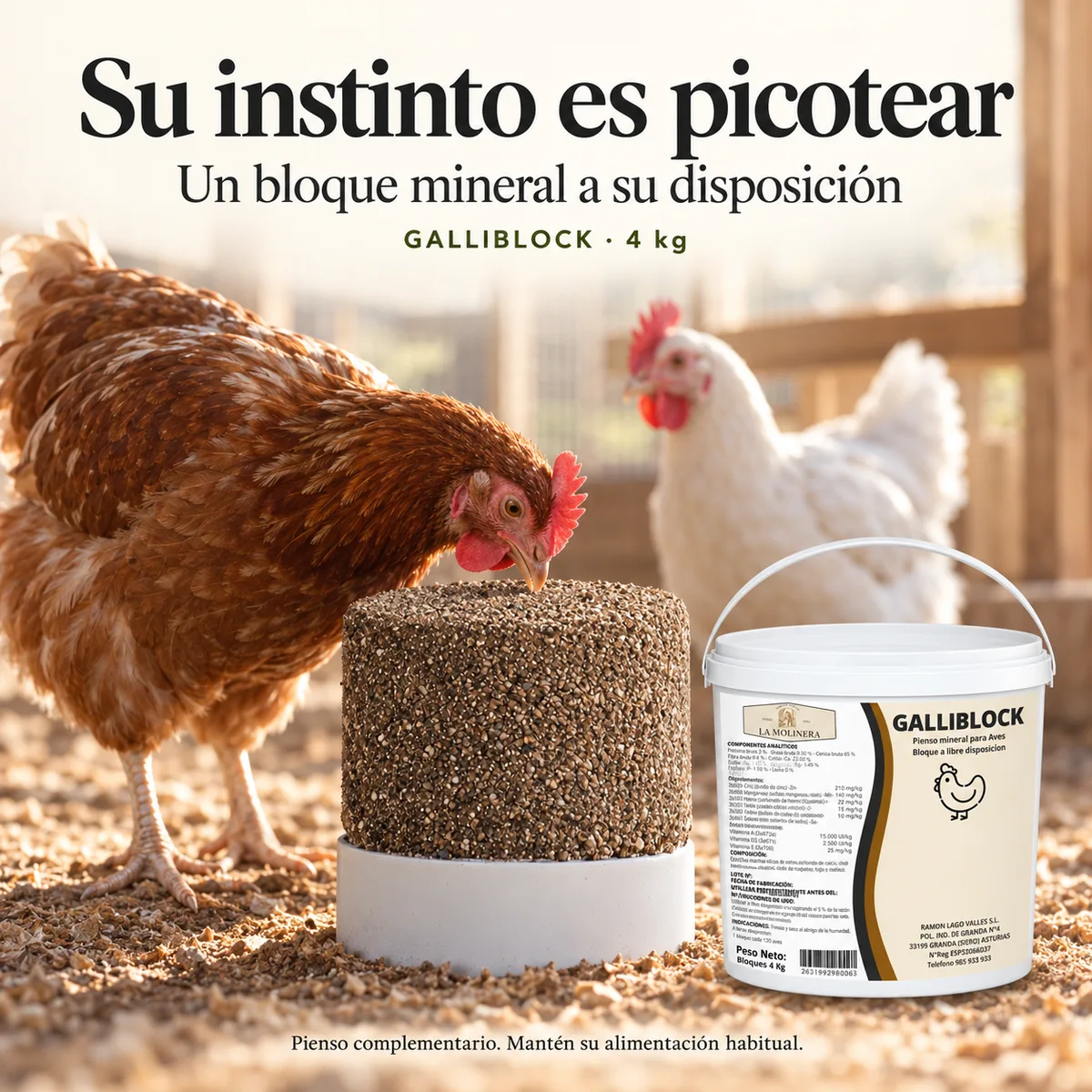 Bloque Mineral Gallinas GalliBlock 4 kg — foto 4