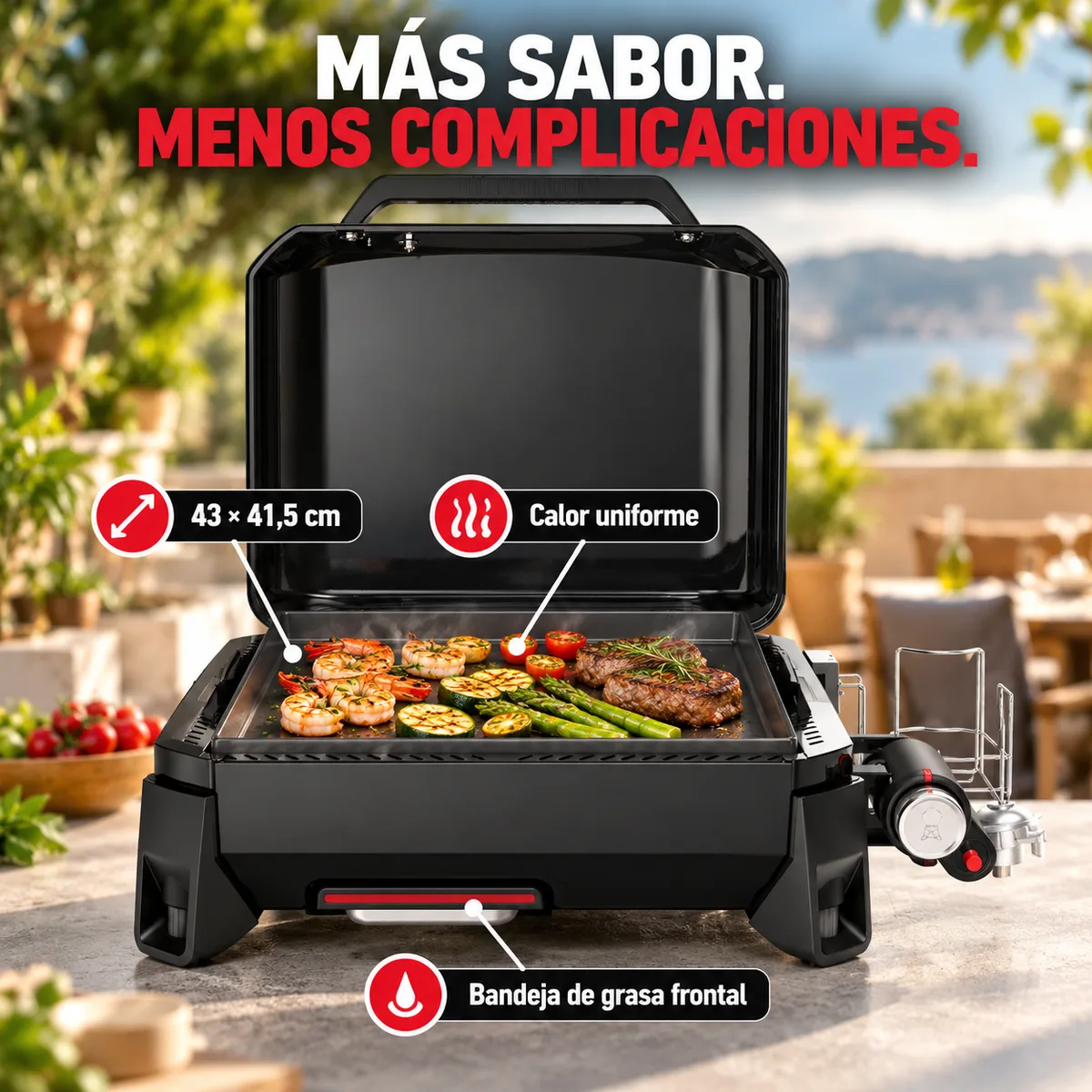 Plancha gas Weber SLATE GP 43 cm Premium — foto 2