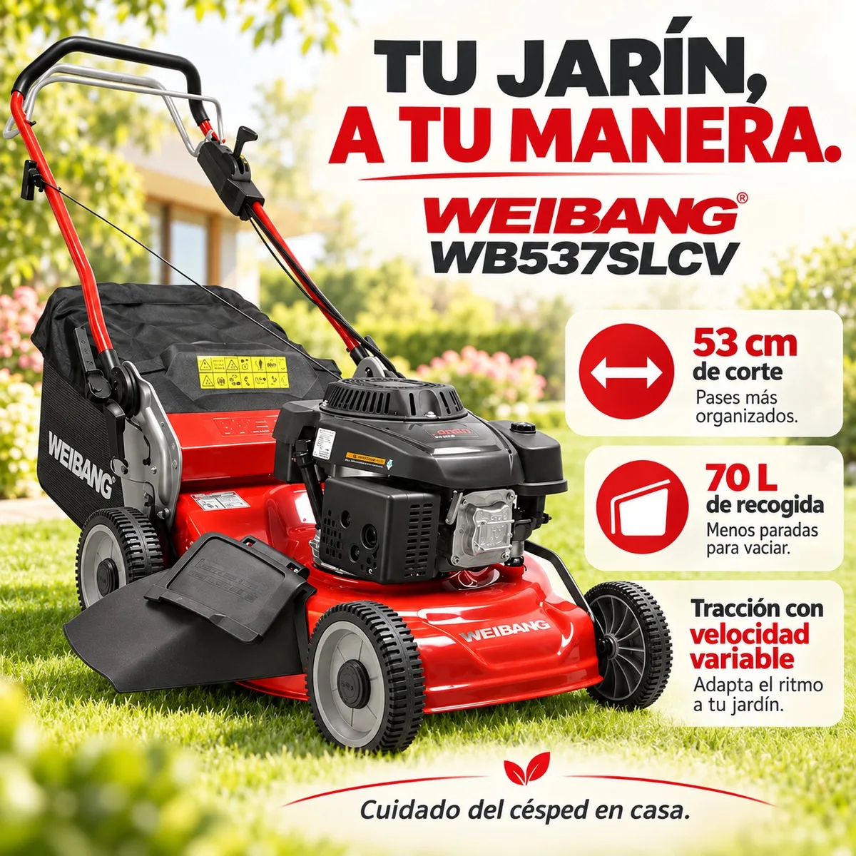 Cortacesped Weibang WB 537SLCV 3 EN 1 — foto 2