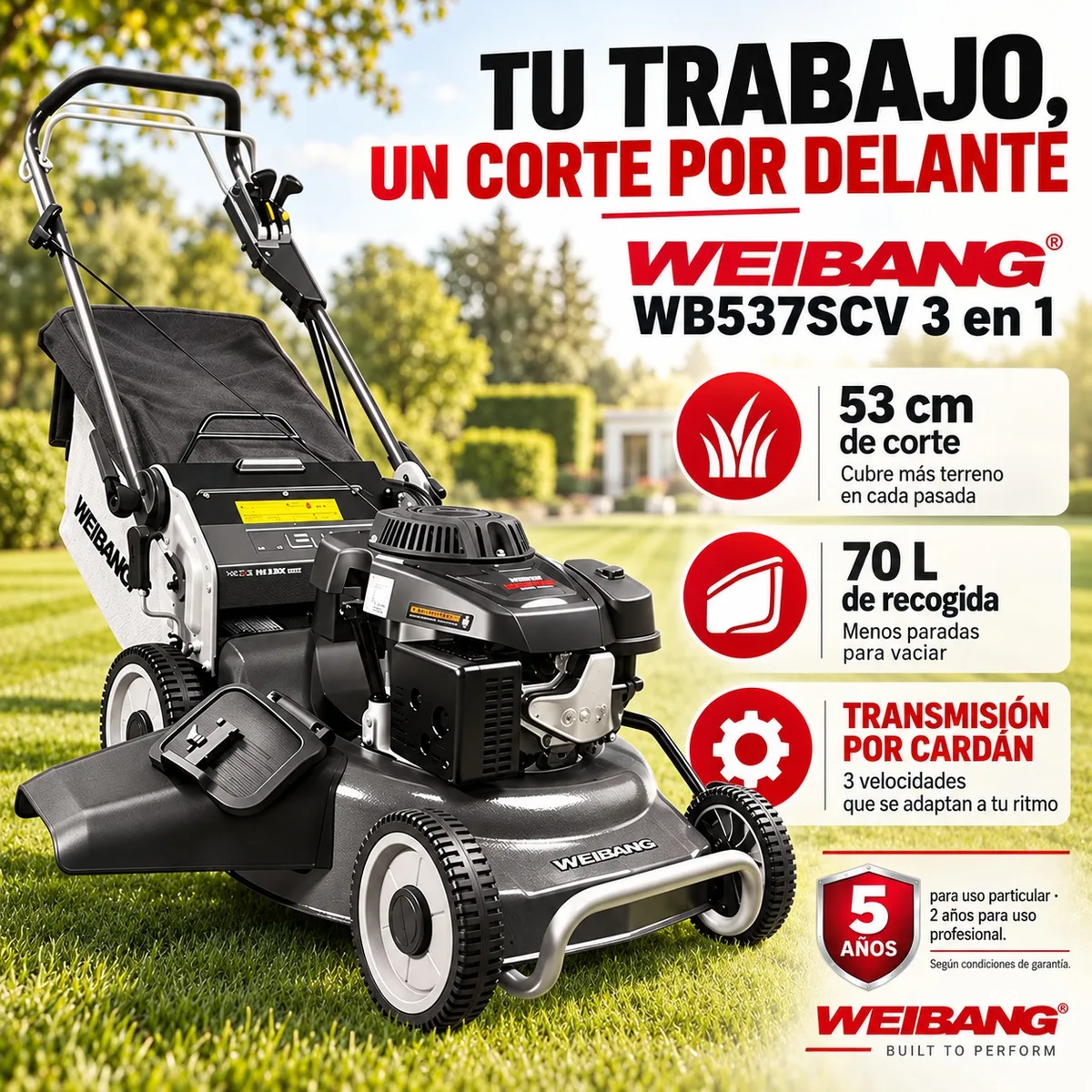 Cortacesped Weibang WB 537SCV 3 EN 1 Cardan — foto 2