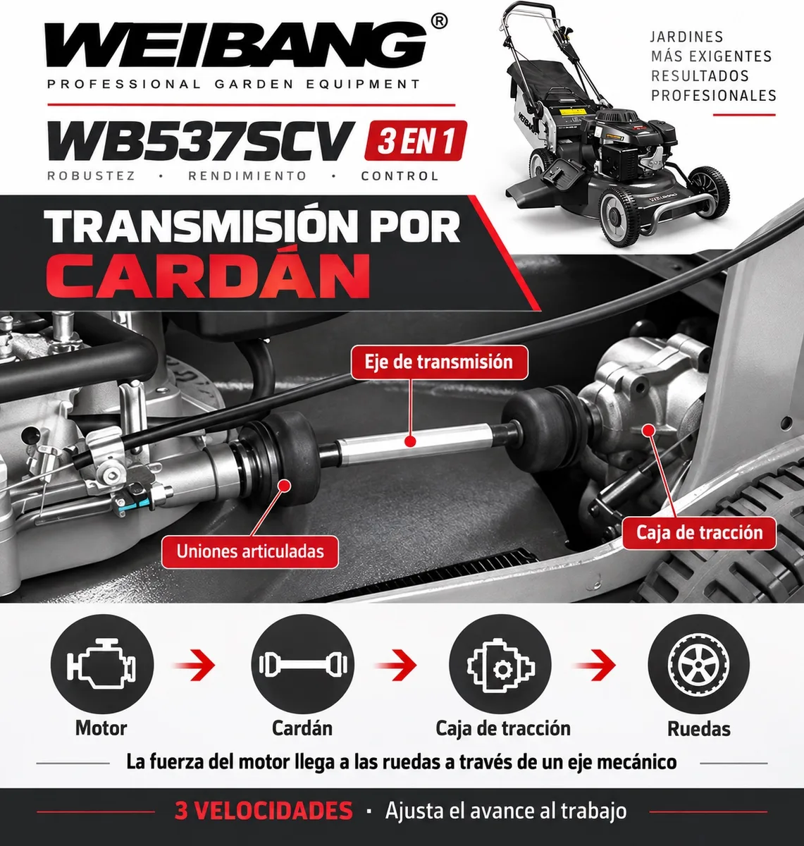 Cortacesped Weibang WB 537SCV 3 EN 1 Cardan — foto 6