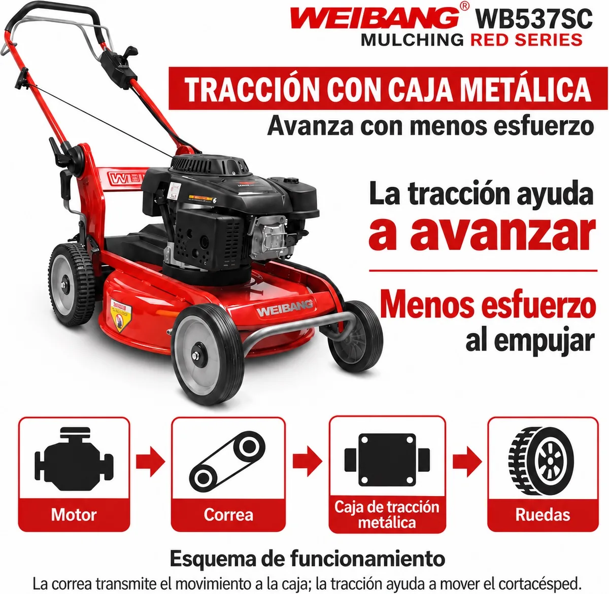 Cortacesped Weibang WB 537SC Mulching — foto 6