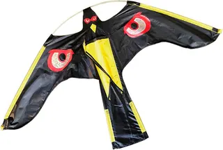 Halcon Cometa Ahuyenta Pajaros