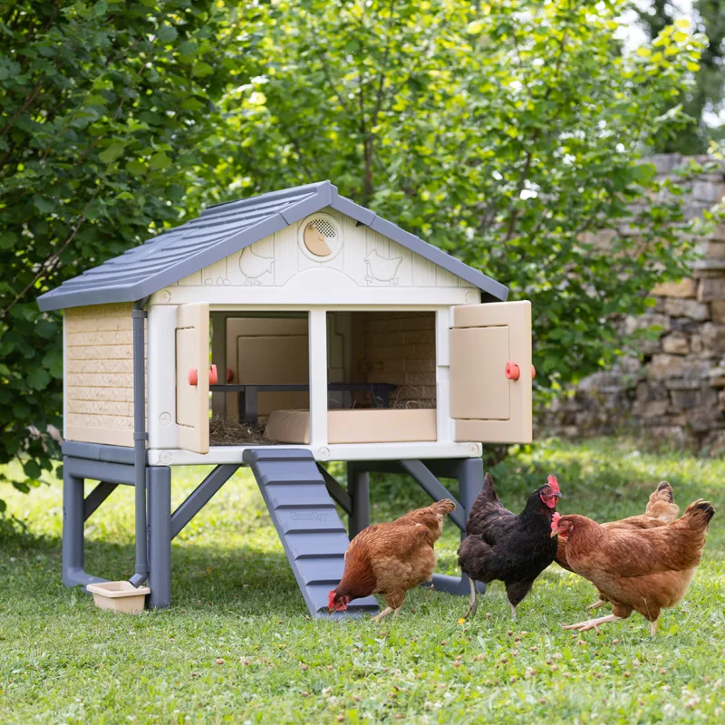 Mi Primer Gallinero — foto 5