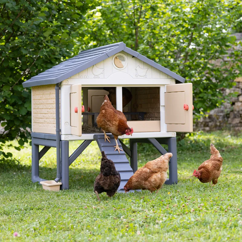 Mi Primer Gallinero — foto 8
