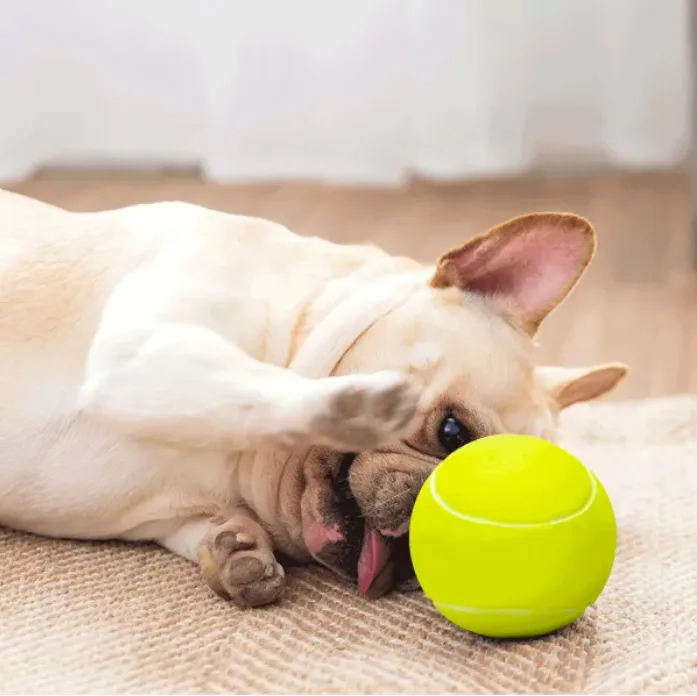 Juguete Pelota Tenis para Perros — foto 9