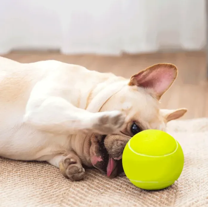 Juguete Pelota Tenis para Perros — foto 6