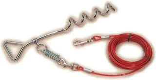 Cable con Estaca