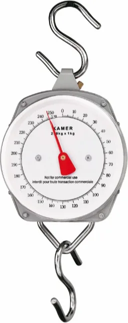 Bascula Reloj Kamer 250 Kg — foto 2