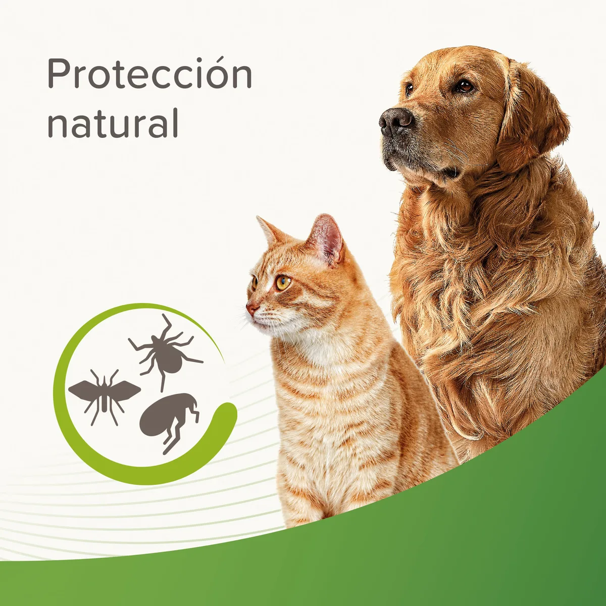 Champu Perros y Gatos Repelente Beaphar 250 ml — foto 2