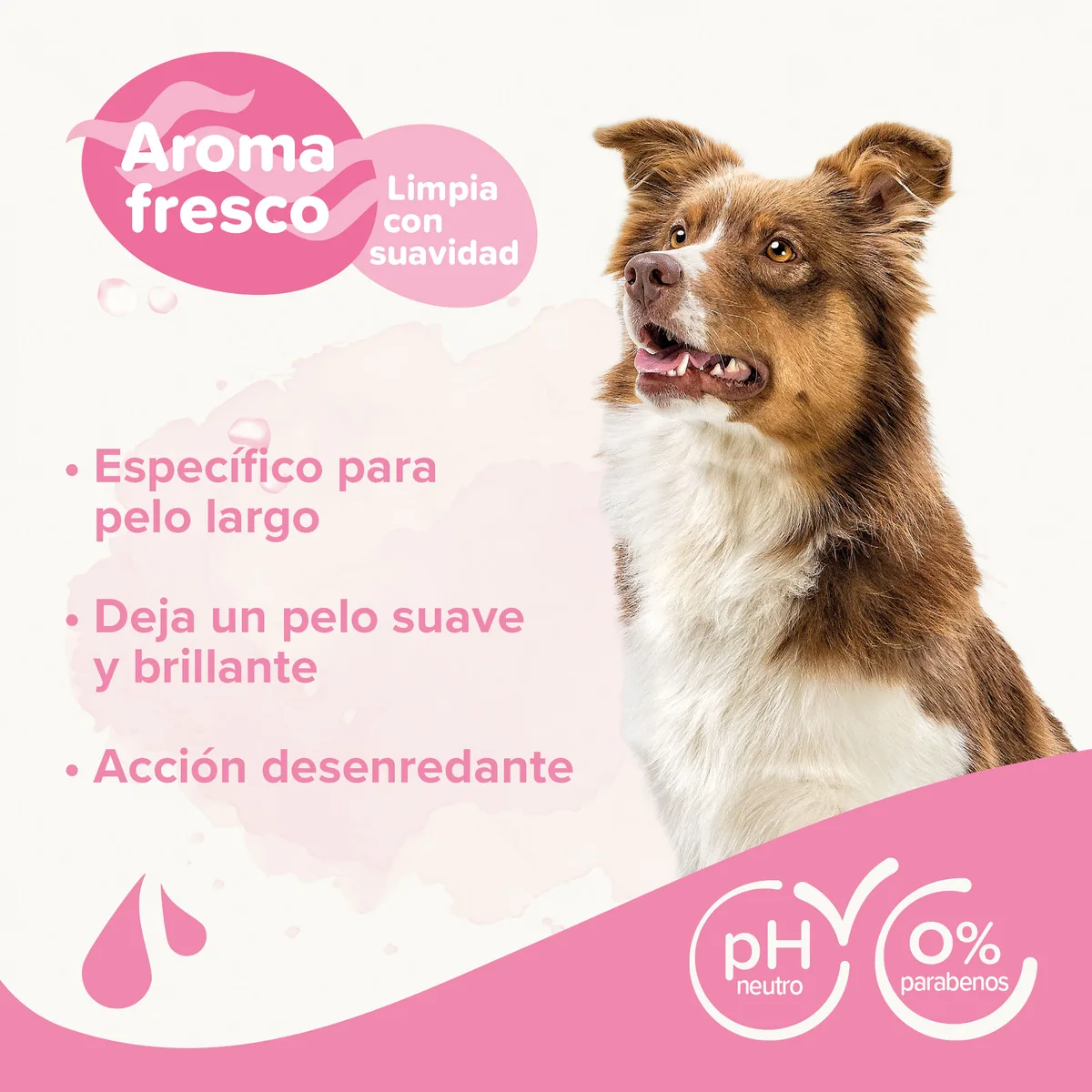 Champu para Perros Pelo Largo Beaphar 250 ml — foto 3