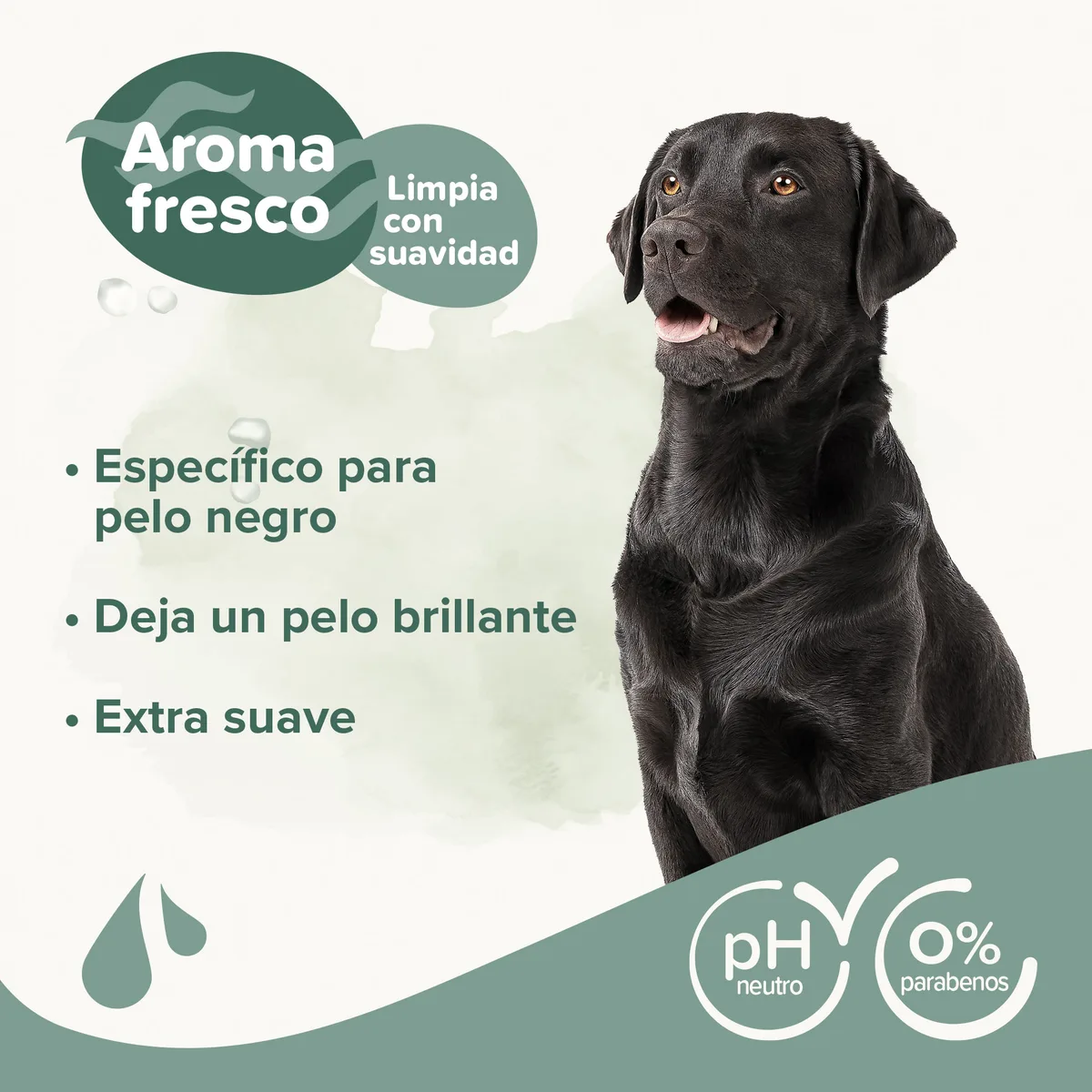 Champu para Perros Pelo Negro Beaphar 250 ml — foto 3
