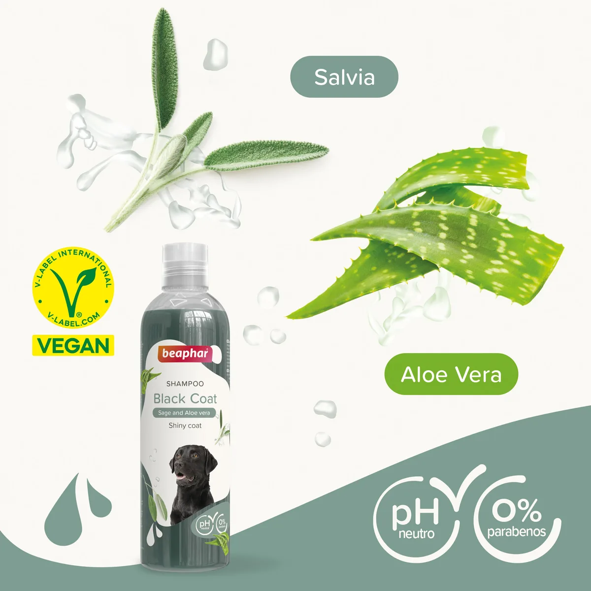 Champu para Perros Pelo Negro Beaphar 250 ml — foto 2