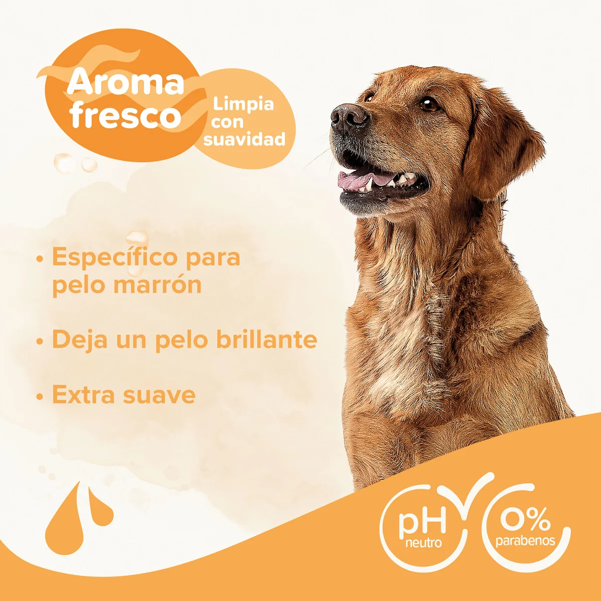 Champu para Perros Pelo Marron Beaphar 250 ml — foto 3