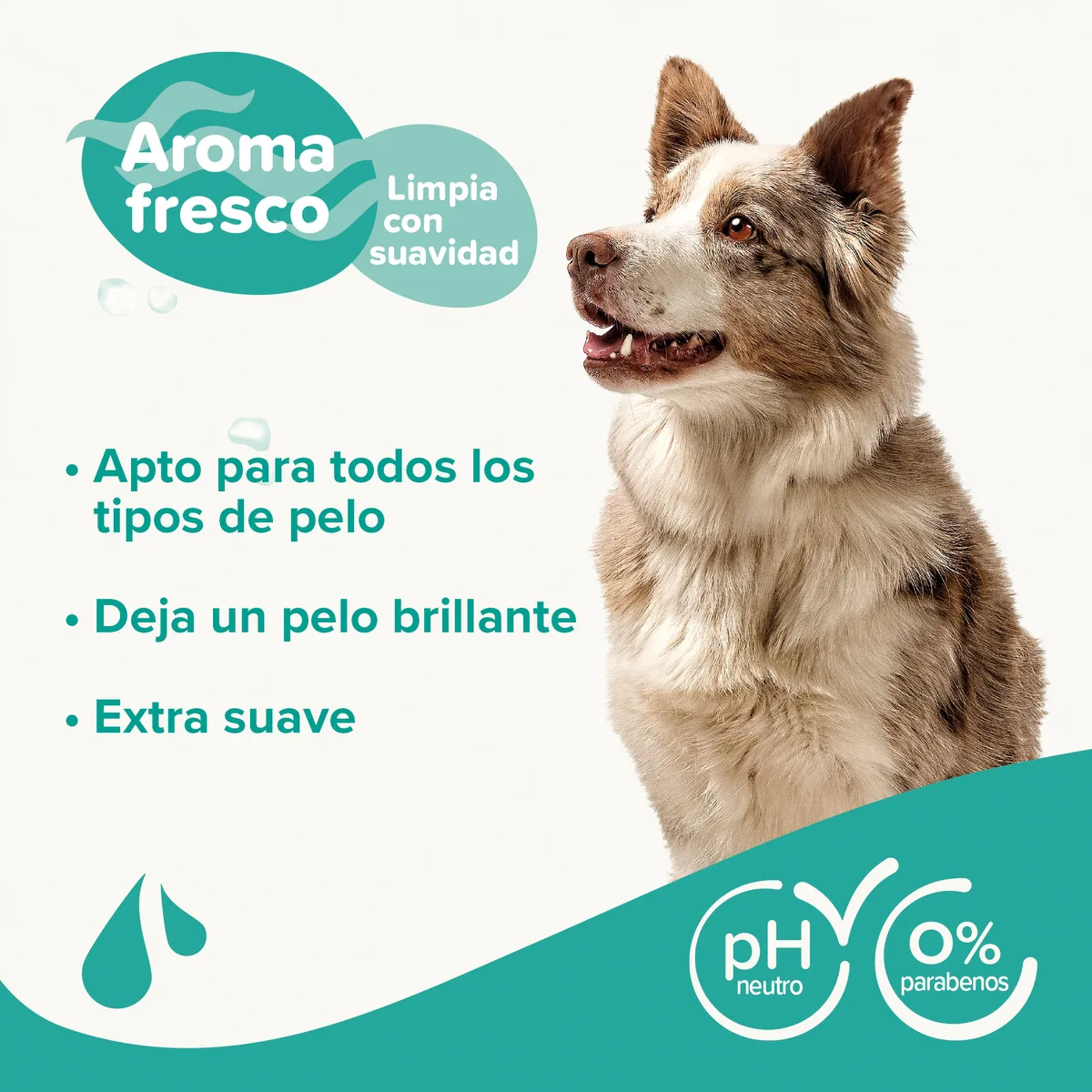 Champu para Perros Universal Beaphar 250 ml — foto 3