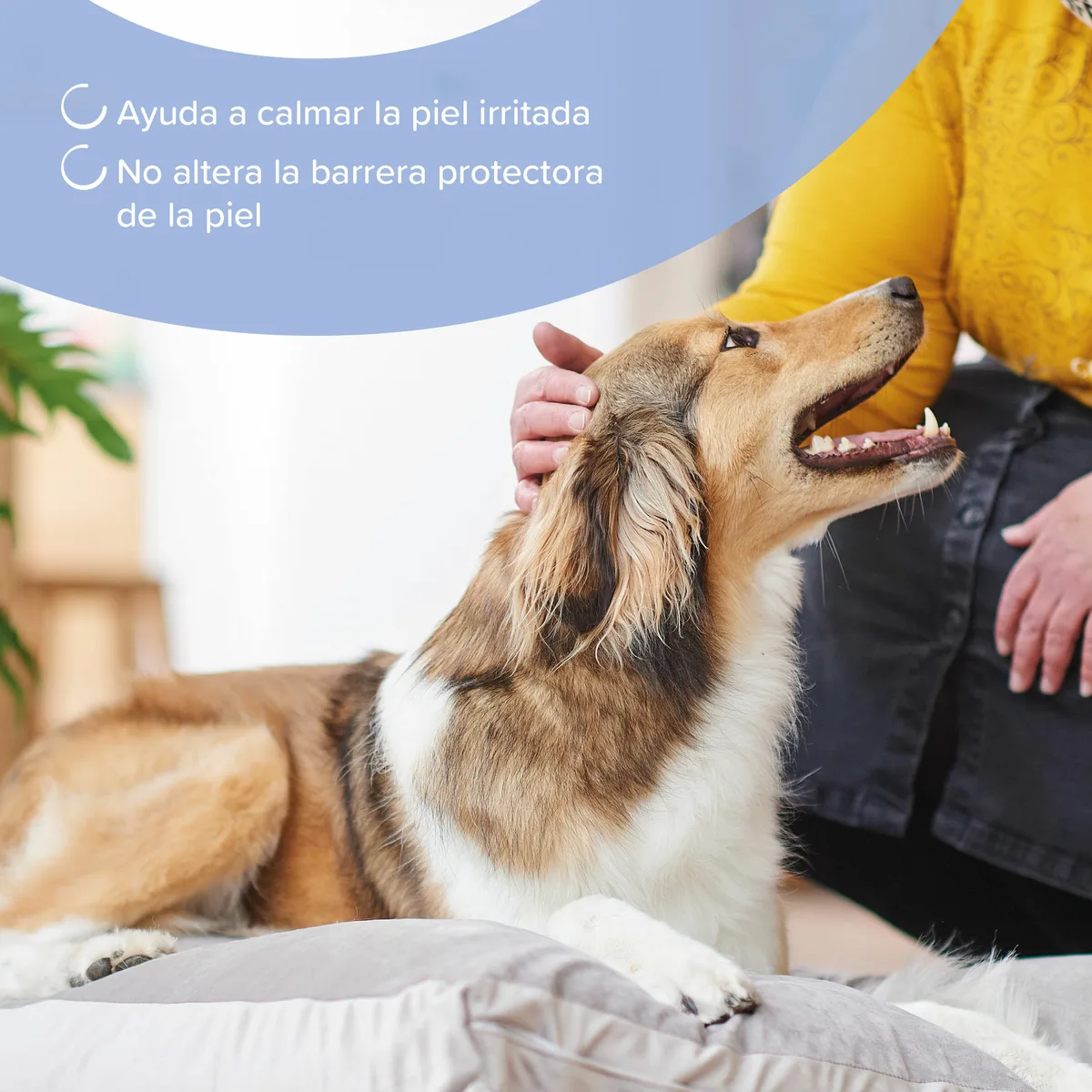 Champu Calmante Perros y Gatos Beaphar 250 ml — foto 3