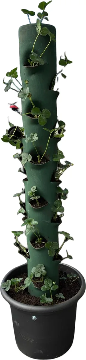 Tubo Macetero Vertical Fresas Artesanal