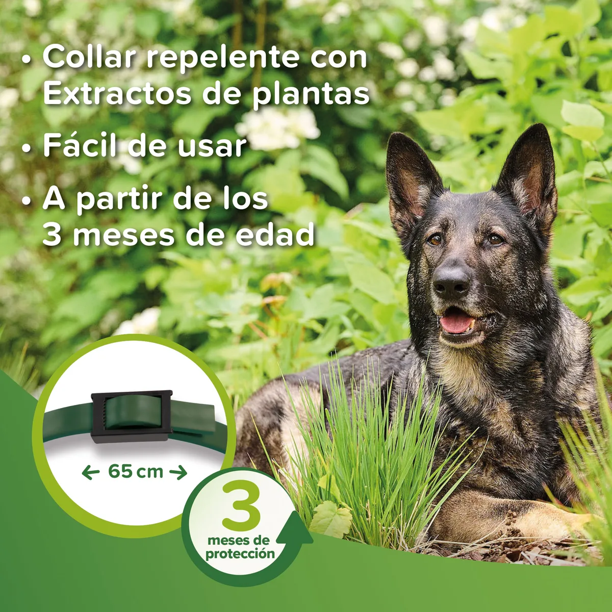Beaphar Collar Repelente Parasitos Perro - 65 cm — foto 2