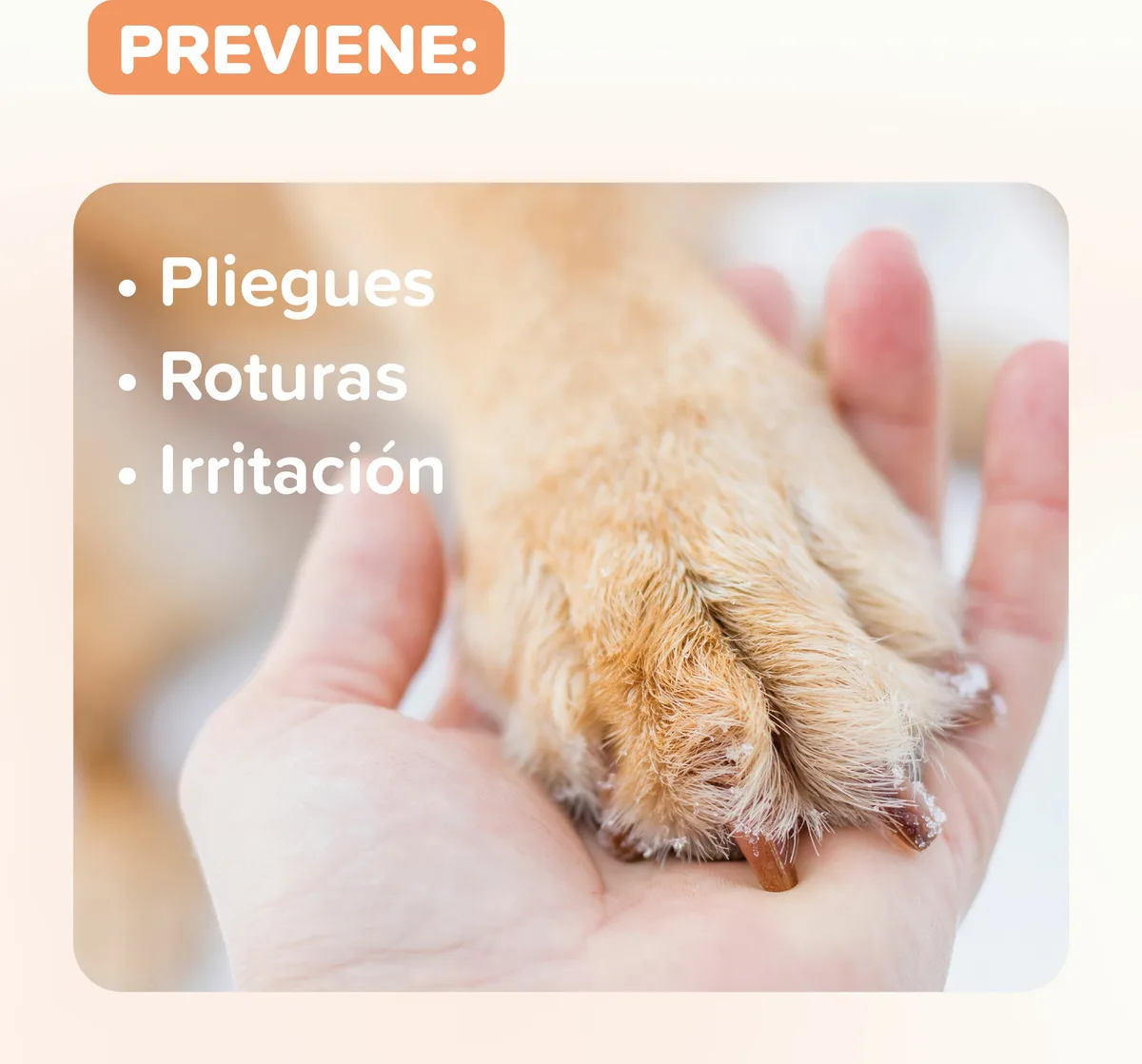 Beaphar Balsamo para Almohadillas - 40ml — foto 4