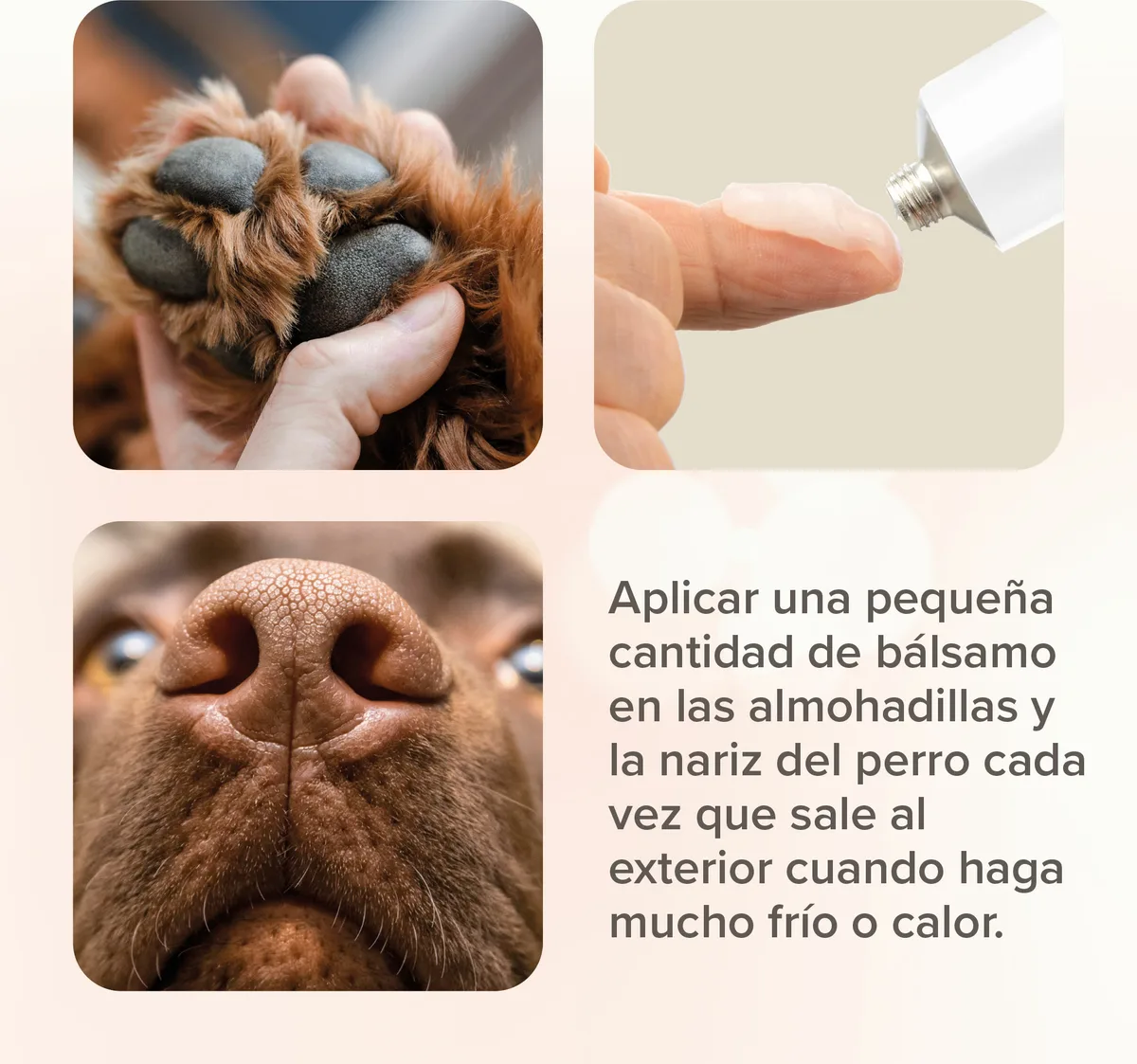 Beaphar Balsamo para Almohadillas - 40ml — foto 5