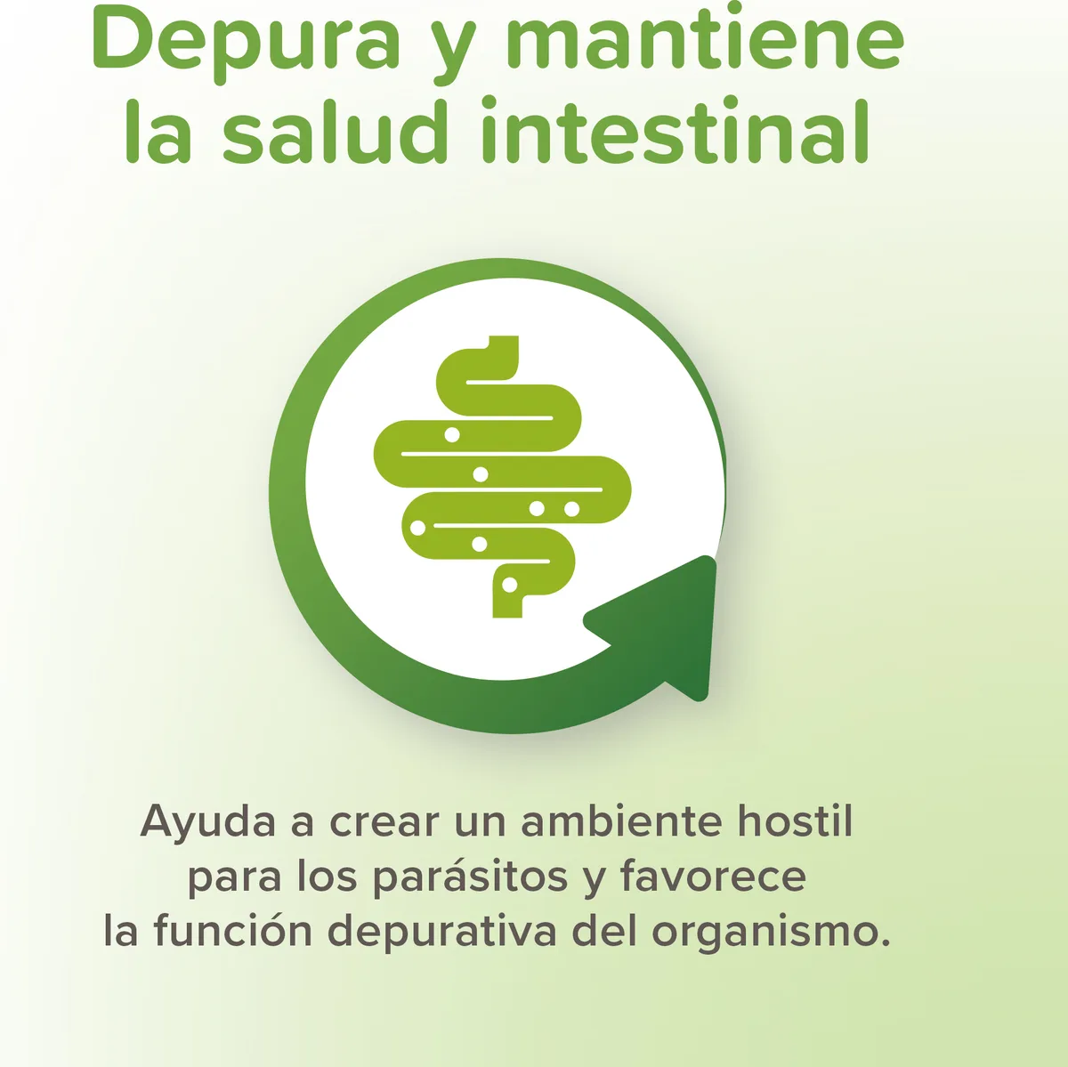 VERMIpure Comprimidos Naturales Perros Pequeños 50 comprimidos — foto 4