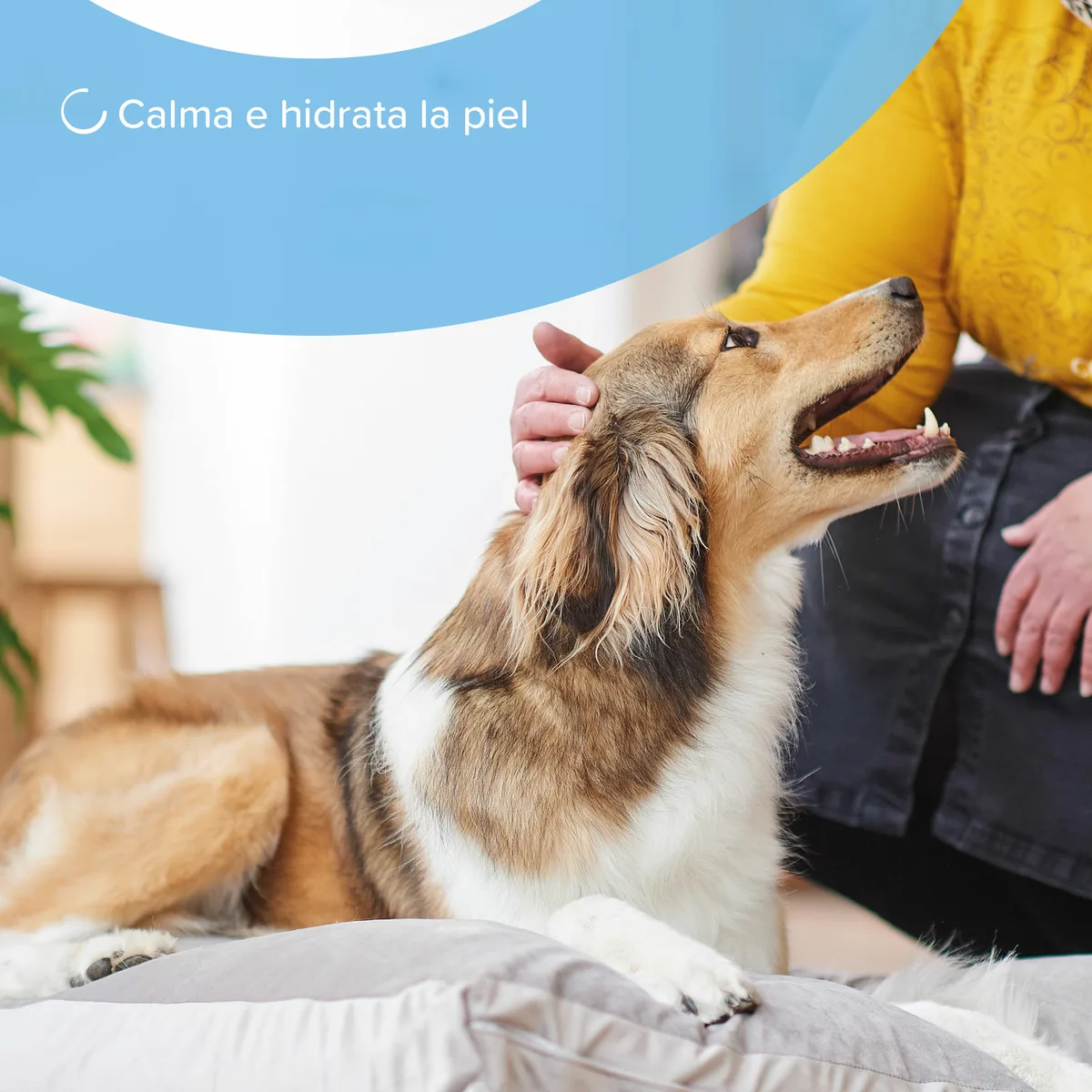 Spray Cuidado Piel Perros y Gatos Beaphar 250 ml — foto 3