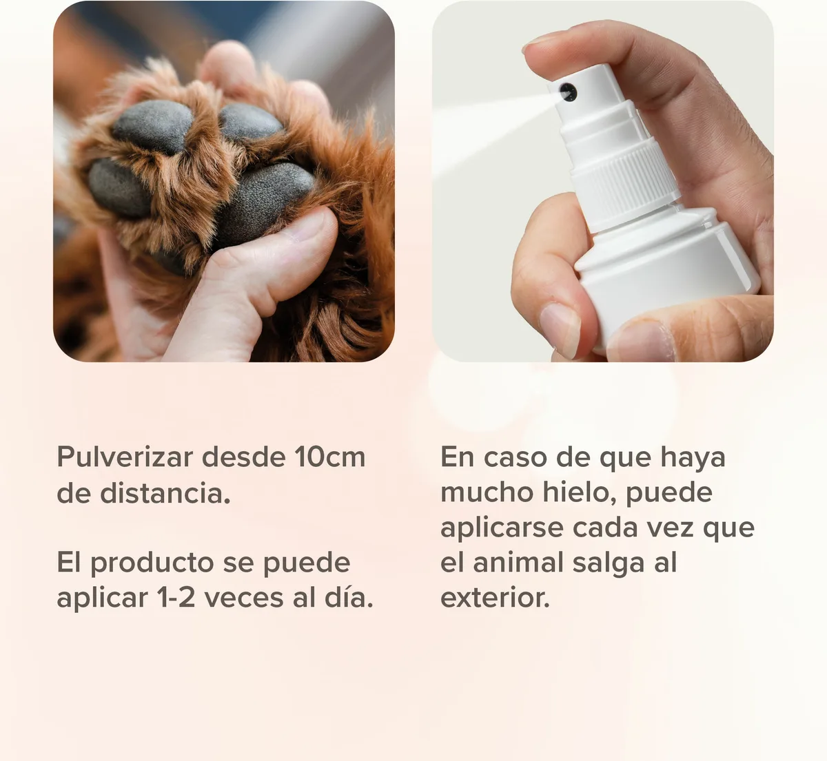 Beaphar Spray Protector Almohadillas Perro - 150ml — foto 4
