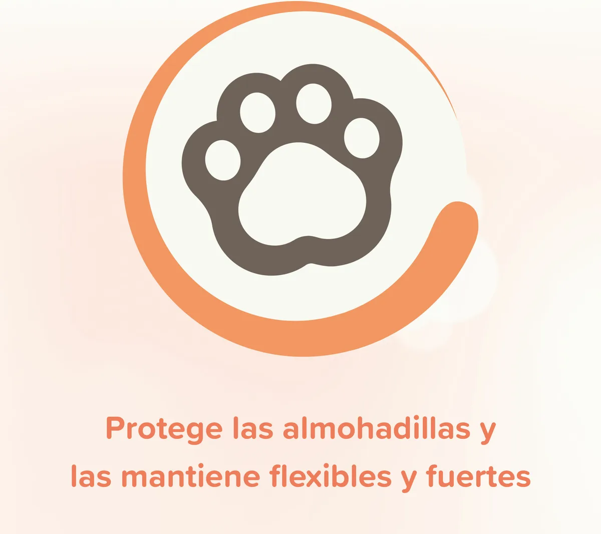Beaphar Spray Protector Almohadillas Perro - 150ml — foto 5