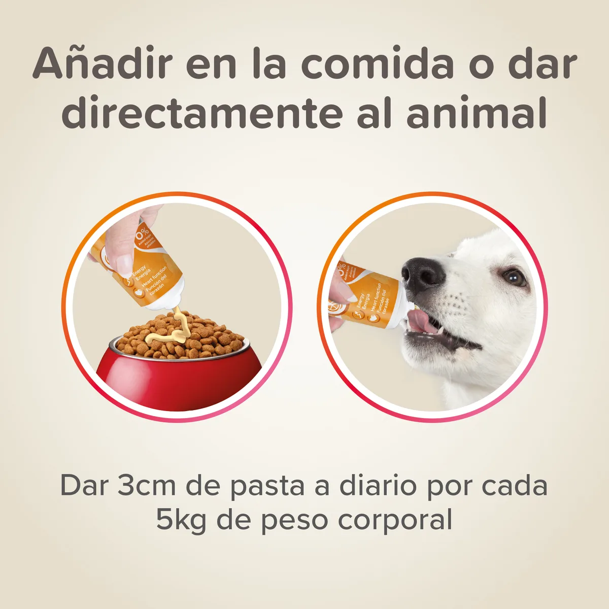Beaphar Pasta Multivitaminas Perros 100g — foto 3