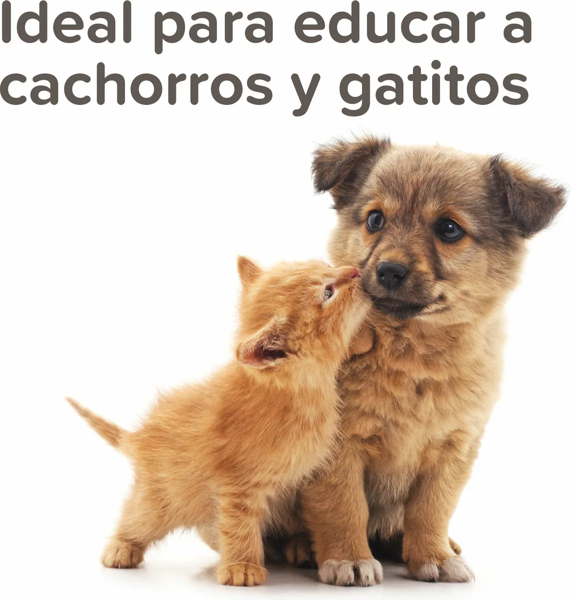Beaphar Spray Educador Exterior 400ml — foto 5