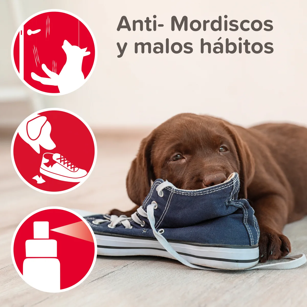 Beaphar Stop It Spray Educador Perros 100ml — foto 3