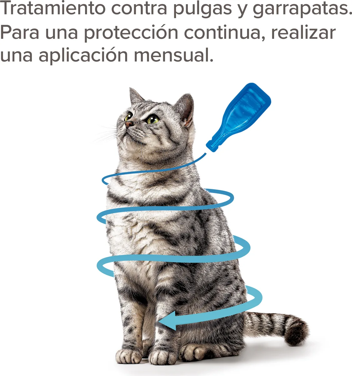 Beaphar FIPROtec Pipeta Antiparasitaria Gatos 4x0,5ml — foto 3
