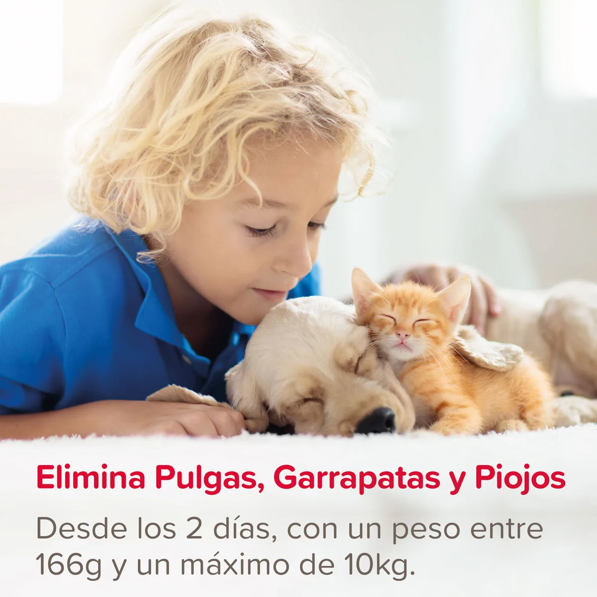 Beaphar FIPROtec Spray Antiparasitario Perros Gatos 100ml — foto 2