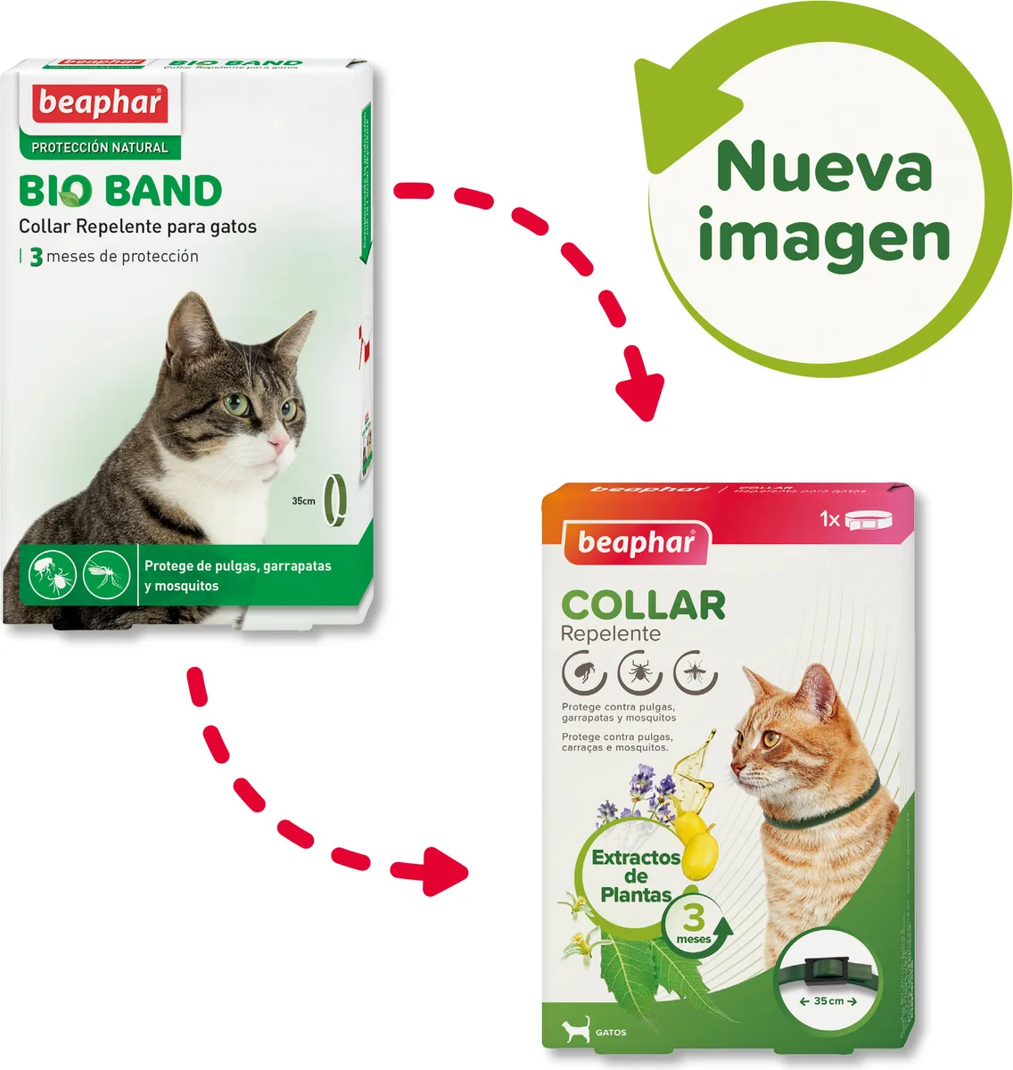 Beaphar Collar Repelente Gatos 35cm — foto 3