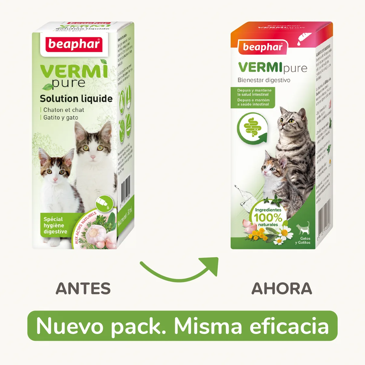 Beaphar VERMIpure Solucion Liquida Gatos y Gatitos 50ml — foto 2
