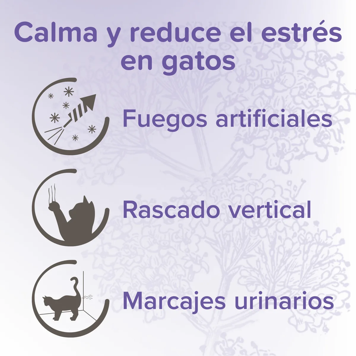 Beaphar Calming Spot On Pipetas Calmantes Gatos 3x0,4ml — foto 7