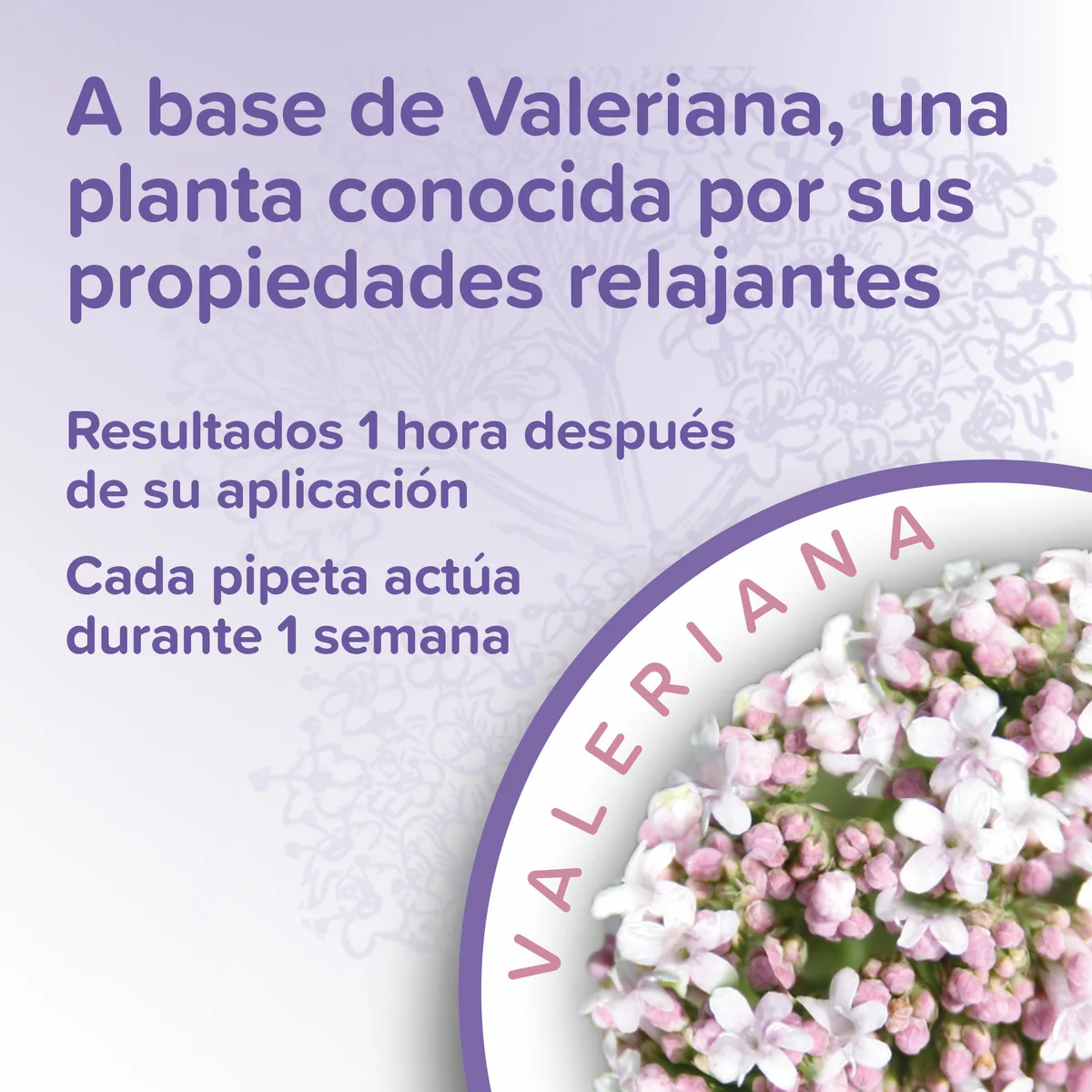 Beaphar Calming Spot On Pipetas Calmantes Gatos 3x0,4ml — foto 5