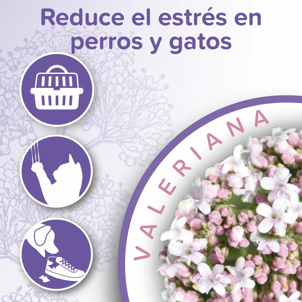 Beaphar Calming Spray Ambiente Perro y Gato 125ml — foto 4