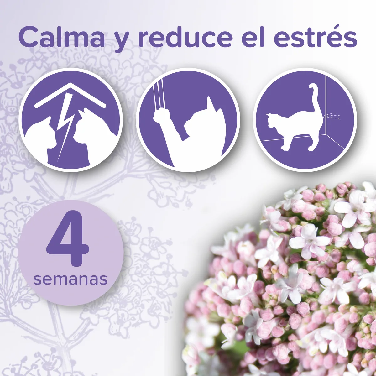 Beaphar No Stress Gato Difusor + Recambio 30ml — foto 3