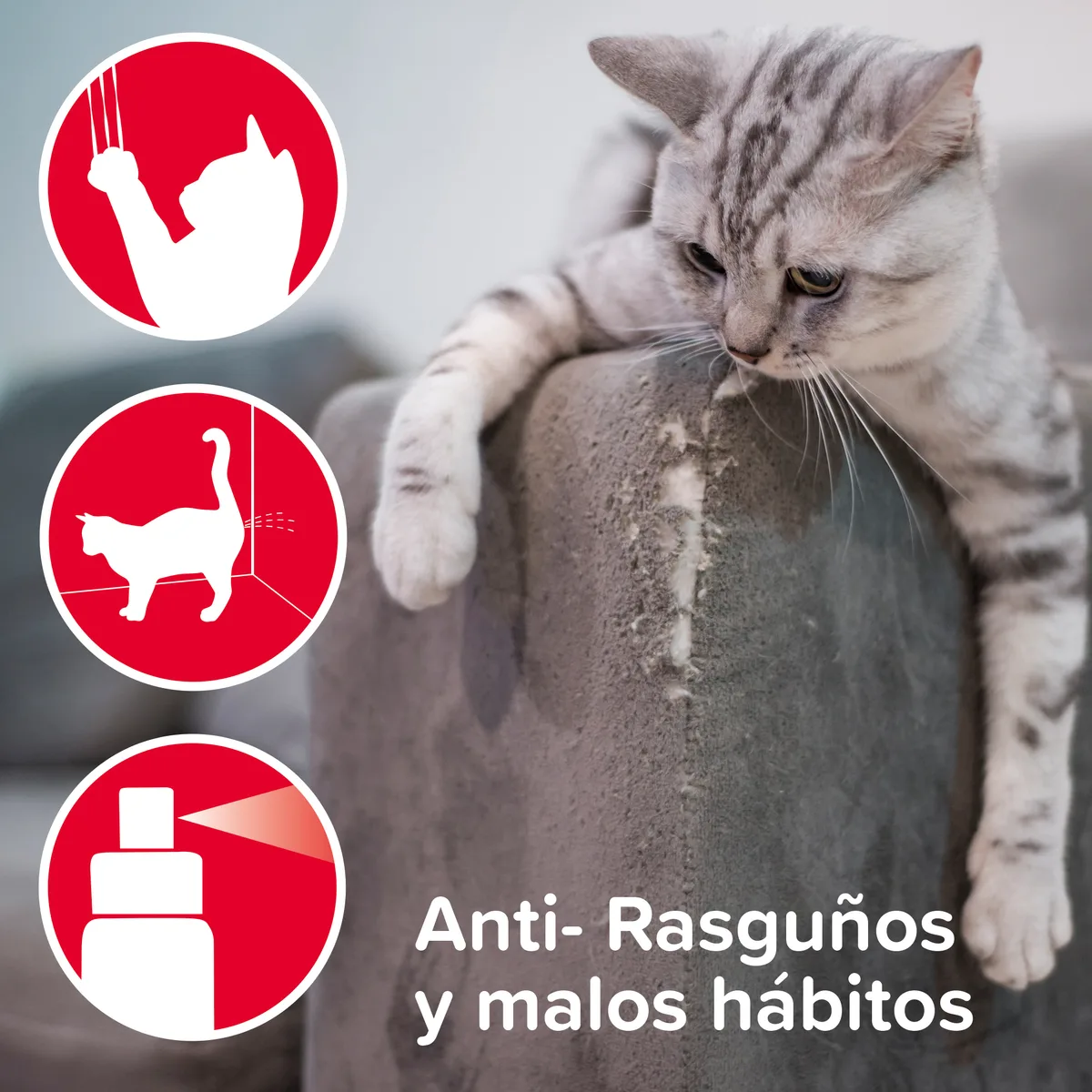 Beaphar Keep Off Spray Educador Gatos 100ml — foto 2