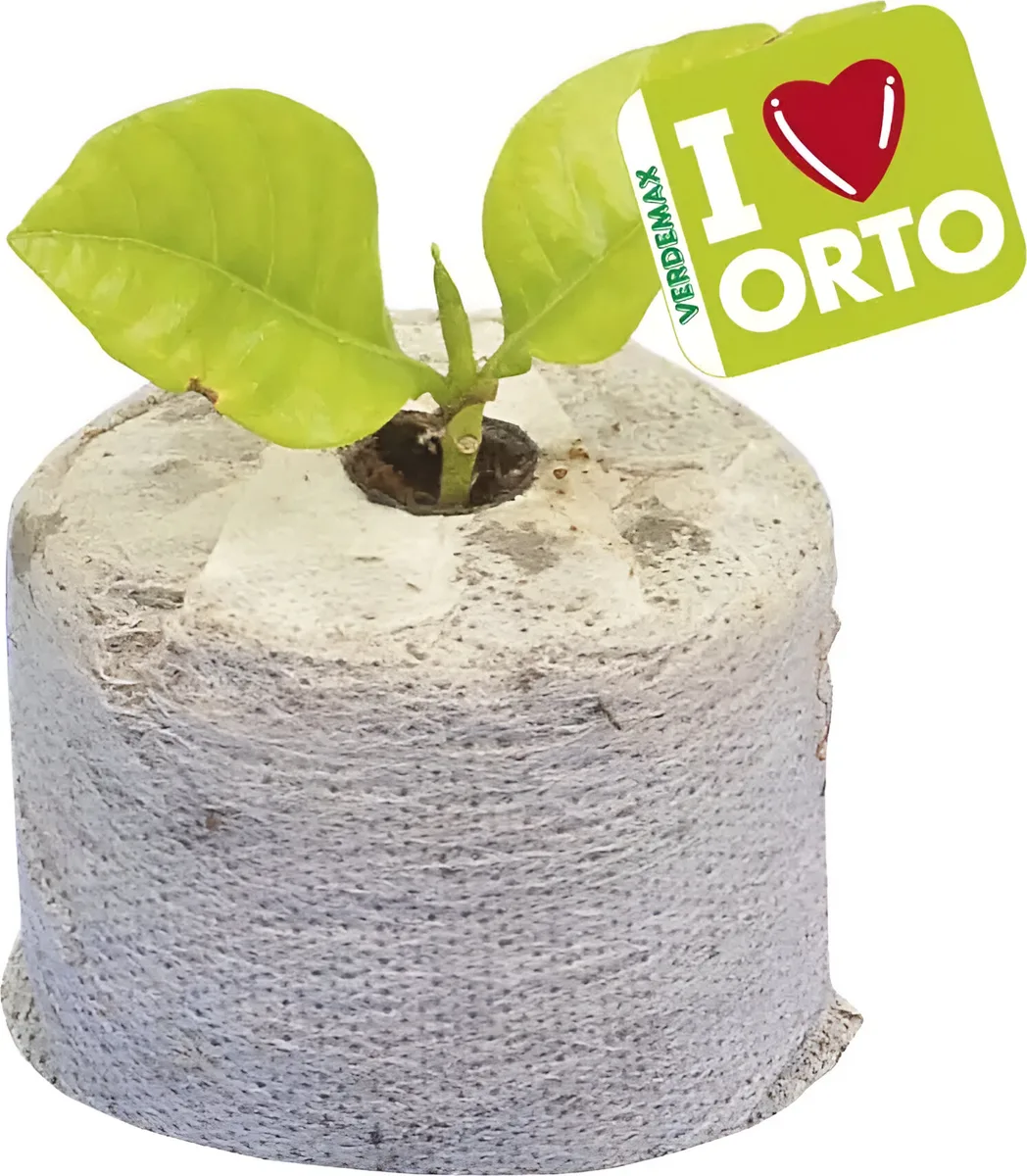Pack 12 Semillero de fibra de coco con Tela Ø mm 45 xh 15 — foto 3