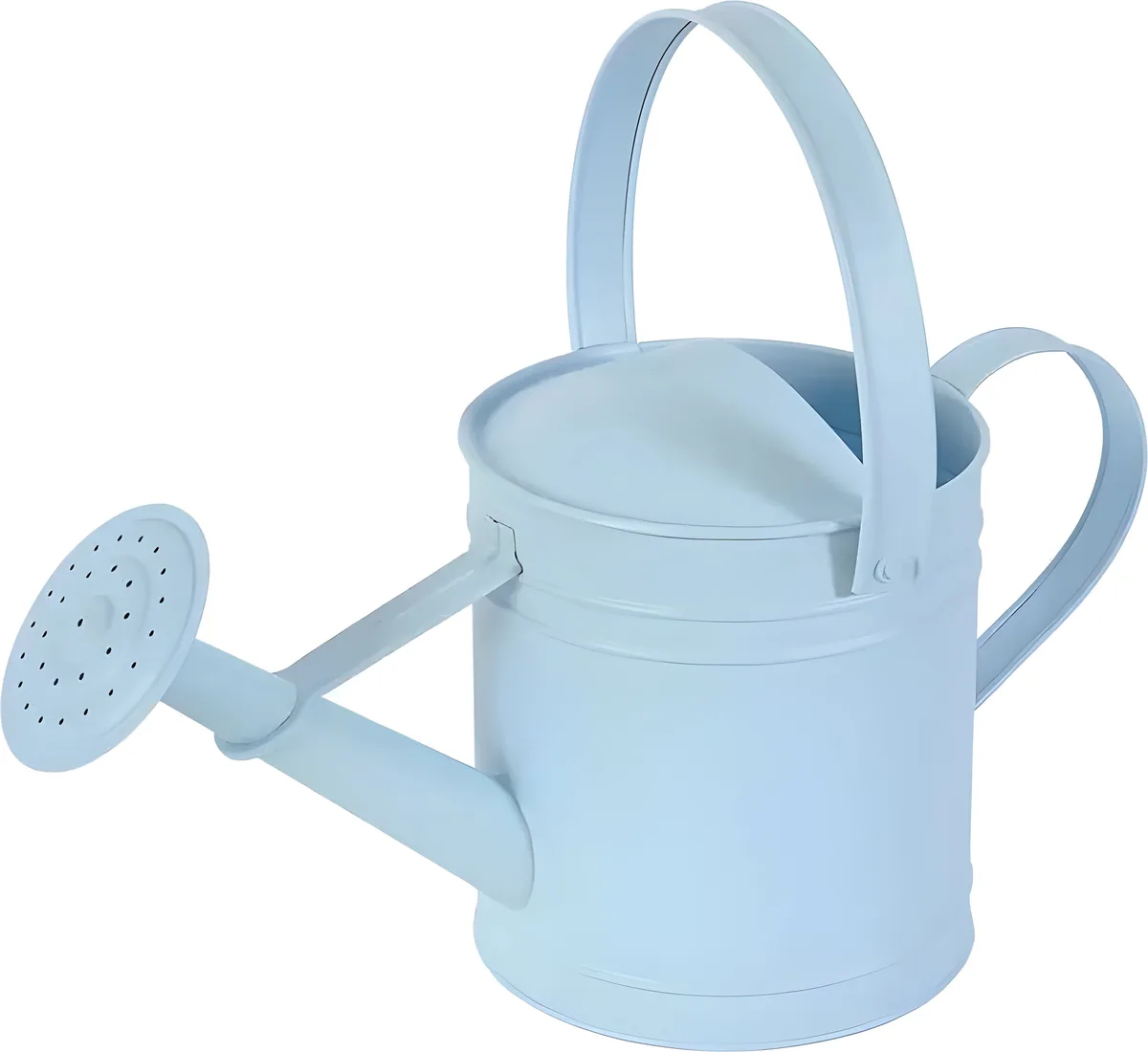 Regadera Metalica Azul 3 Lts