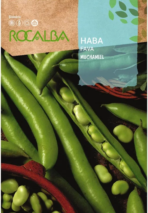 Semilla Haba Muchamiel 1 Kg — foto principal
