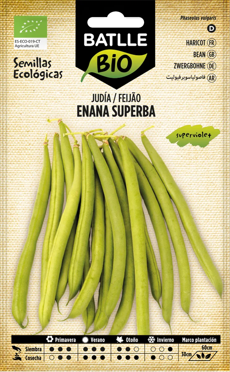 Judia Superba Superviolet 250 gr — foto 2