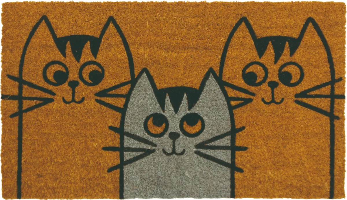 Felpudo Coco/Pvc Whiskers 40x70 — foto principal