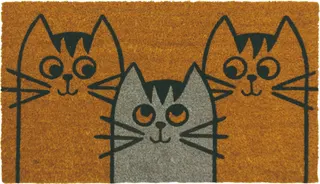 Felpudo Coco/Pvc Whiskers 40x70