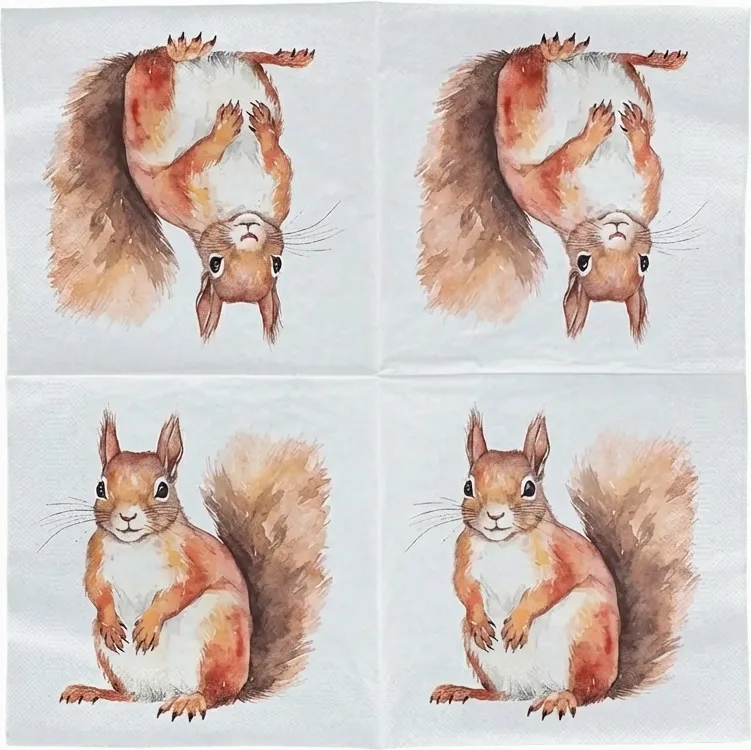 Servilletas Papel Ardilla 33x33cm  20 uds — foto principal