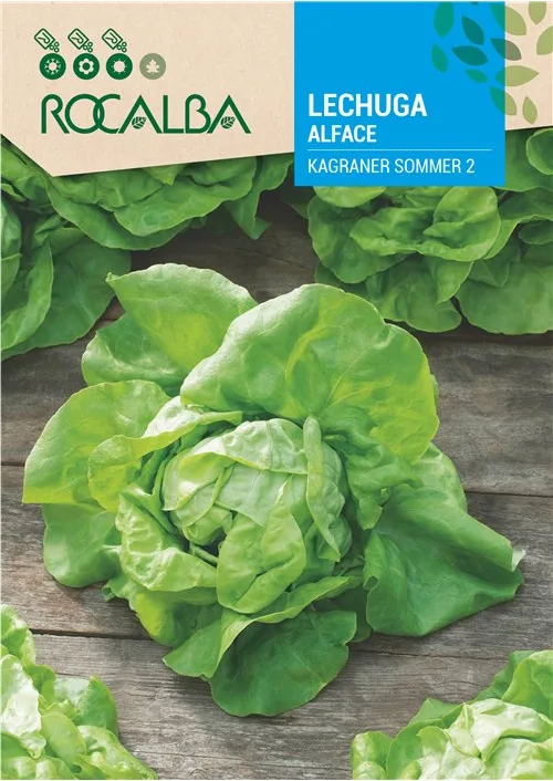 Semilla Lechuga Kagraner Sommer 2