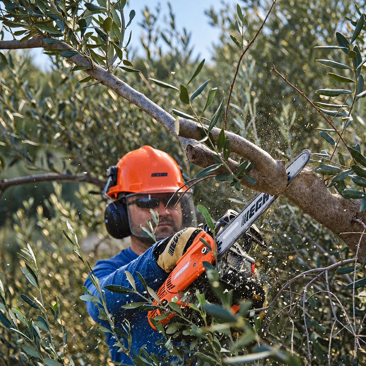 Motosierra Poda Echo CS2511TESC/25A 0.043" carving — foto 2