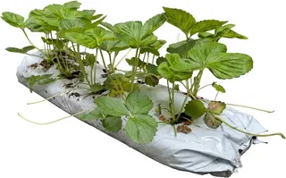 Saco Sustrato Cultivo 28 Litros con Fresas